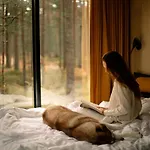 Oeoed - Fika, Mysa , Skoent-with Sauna