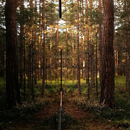 Oeoed Hoetels - Fika, Mysa , Skoent-with Sauna * Rooslepa