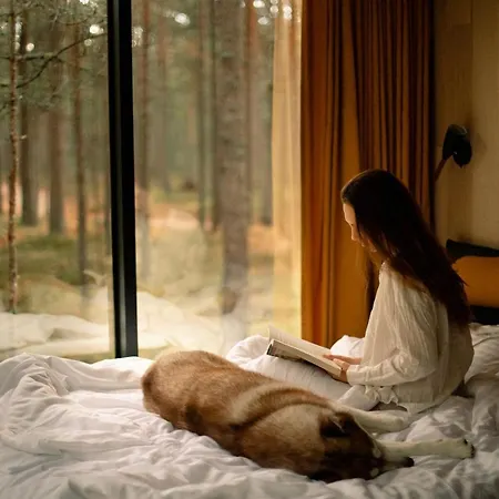 Oeoed - Fika, Mysa , Skoent-with Sauna