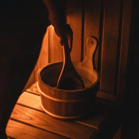 Oeoed Hoetels - Fika, Mysa , Skoent-with Sauna Rooslepa