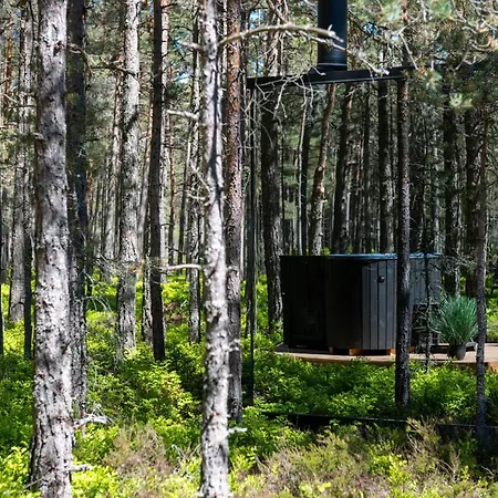 Oeoed - Fika, Mysa , Skoent-with Sauna Rooslepa