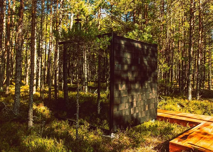 Oeoed - Fika, Mysa , Skoent-with Sauna Apartament Rooslepa