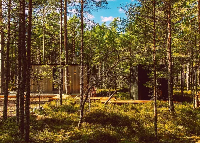 Oeoed - Fika, Mysa , Skoent-with Sauna