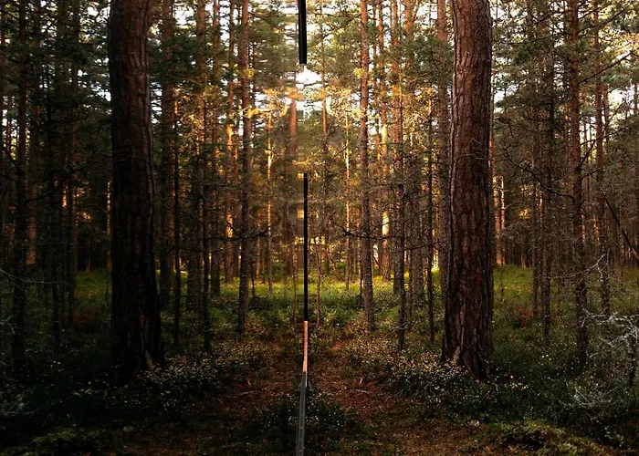 Oeoed - Fika, Mysa , Skoent-with Sauna * Rooslepa