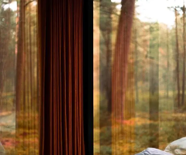 Oeoed - Fika, Mysa , Skoent-with Sauna