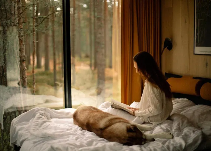 Oeoed - Fika, Mysa , Skoent-with Sauna